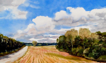 royward_watercolors_web-DSCF0276