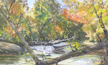 royward_watercolors_web-DSCF0395