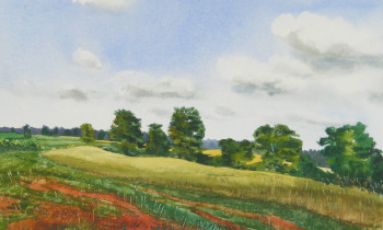 royward_watercolors_web-DSCF0399