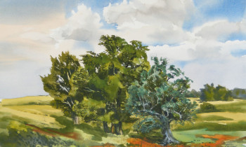 royward_watercolors_web-DSCF0402