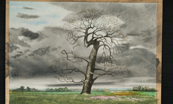 royward_watercolors_web-_NEF1836