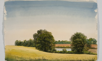 royward_watercolors_web-_NEF2168