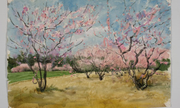 royward_watercolors_web-_NEF2179