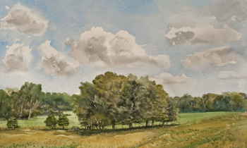 royward_watercolors_web-_NEF2358