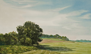 royward_watercolors_web-_NEF2384