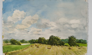 royward_watercolors_web-_NEF2386