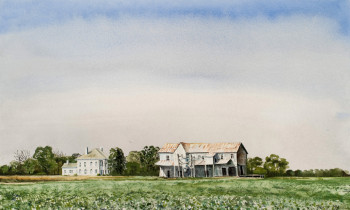 royward_watercolors_web-_NEF3860