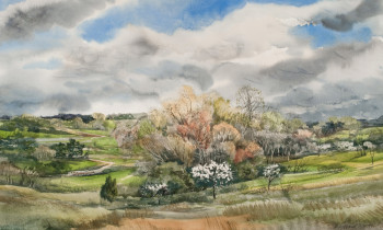 royward_watercolors_web-_NEF3863