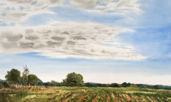 royward_watercolors_web-_NEF3868