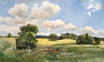 royward_watercolors_web-_NEF3869