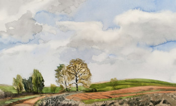 royward_watercolors_web-_NEF3872