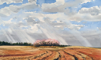 royward_watercolors_web-_NEF3876