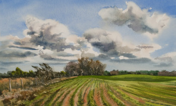 royward_watercolors_web-_NEF3889