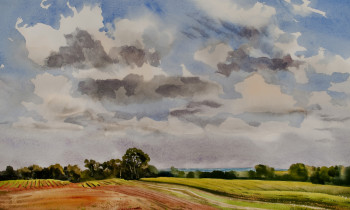 royward_watercolors_web-_NEF3890