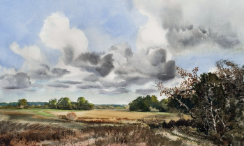 royward_watercolors_web-_NEF3893