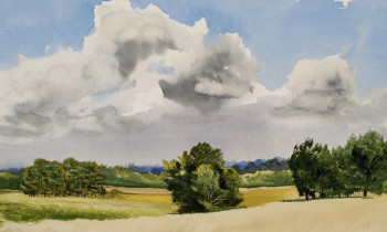 royward_watercolors_web-_NEF3894