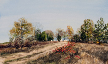 royward_watercolors_web-_NEF3896