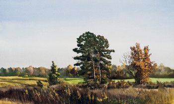 royward_watercolors_web-_NEF3899