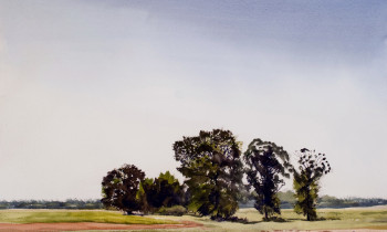 royward_watercolors_web-_NEF3905