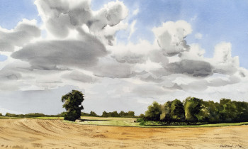 royward_watercolors_web-_NEF3906