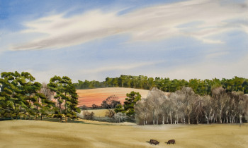 royward_watercolors_web-_NEF3907