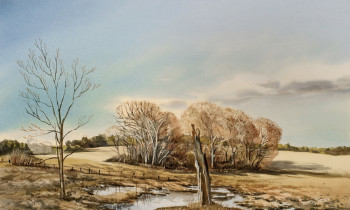 royward_watercolors_web-_NEF3914