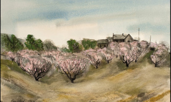 royward_watercolors_web-_NEF4925-4x6