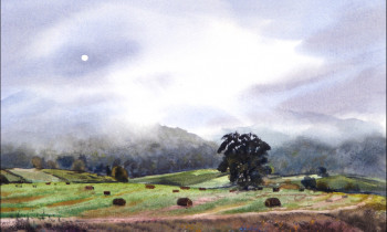 royward_web-DSCF0865