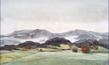 royward_web-_NEF5708