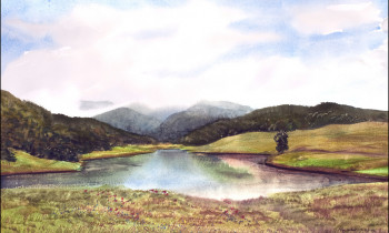 royward_web-_NEF5709