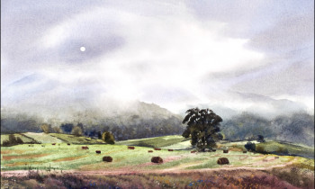 royward_web-_NEF5710