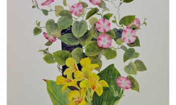 royward_floral-11.gallery_49