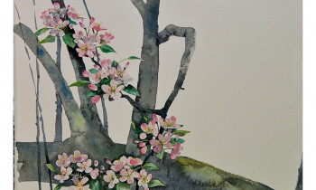 royward_floral-2.gallery_74