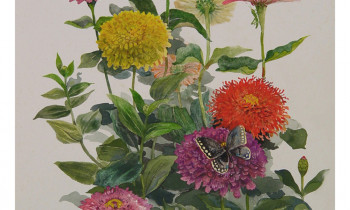 royward_floral-5.gallery_15