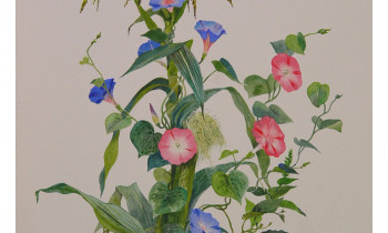 royward_floral-6.gallery_16