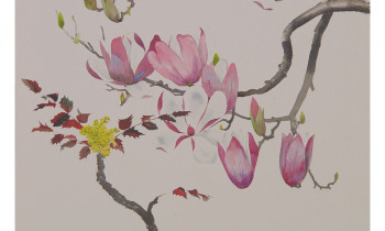 royward_floral-7.gallery_19