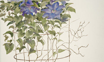 royward_watercolors_web-_NEF7625