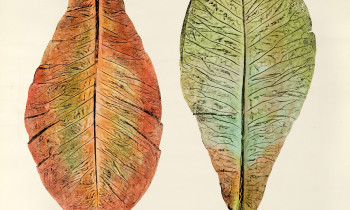 royward_watercolors_web-_NEF7627