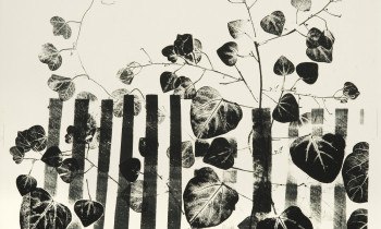 royward_watercolors_web-_NEF7628