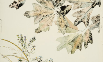 royward_watercolors_web-_NEF7629