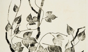 royward_watercolors_web-_NEF7630