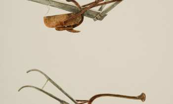 royward_watercolors_web-_NEF7644