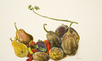 royward_watercolors_web-_NEF7648