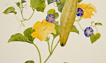 royward_watercolors_web-_NEF7651