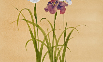 royward_watercolors_web-_NEF7654