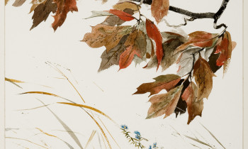 royward_watercolors_web-_NEF7866