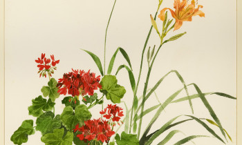 royward_watercolors_web-_NEF7867