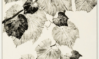 royward_watercolors_web-_NEF7868