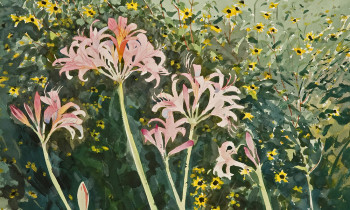 royward_watercolors_web-_NEF7878