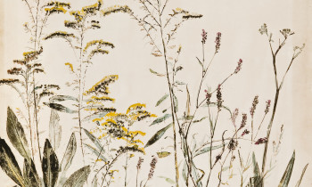 royward_watercolors_web-_NEF7880